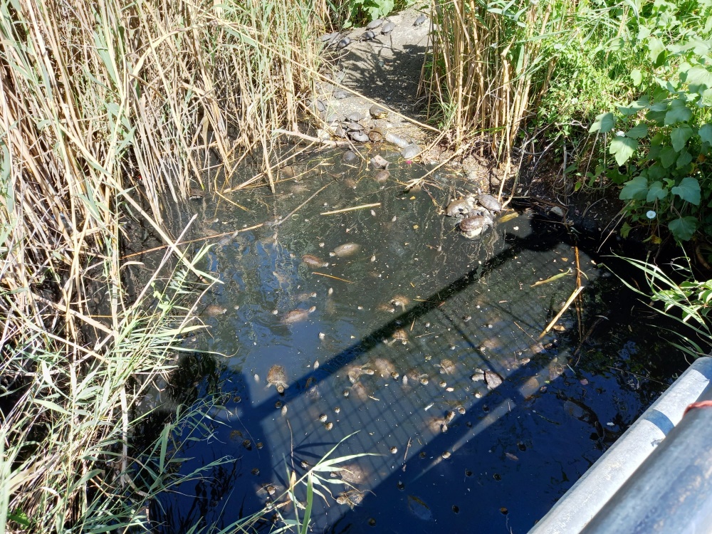 Βασίλης Δελαγραμμάτικας: Τελικά ακούει κανείς Δήμαρχος, Αντιδήμαρχοι, Περιφερειακοί;;;