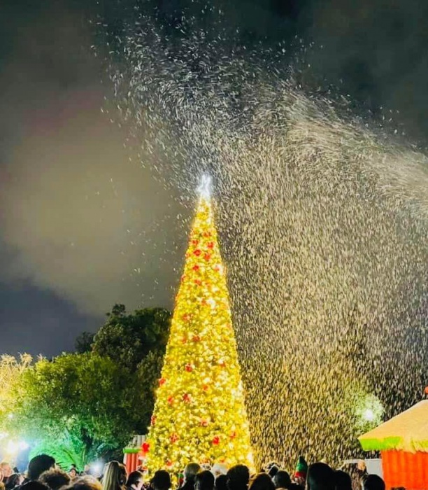 Φωταγωγήθηκε το Χριστουγεννιάτικο Δέντρο στο Πεδίο του Άρεως από τον Περιφερειάρχη Αττικής Γιώργο Πατούλη