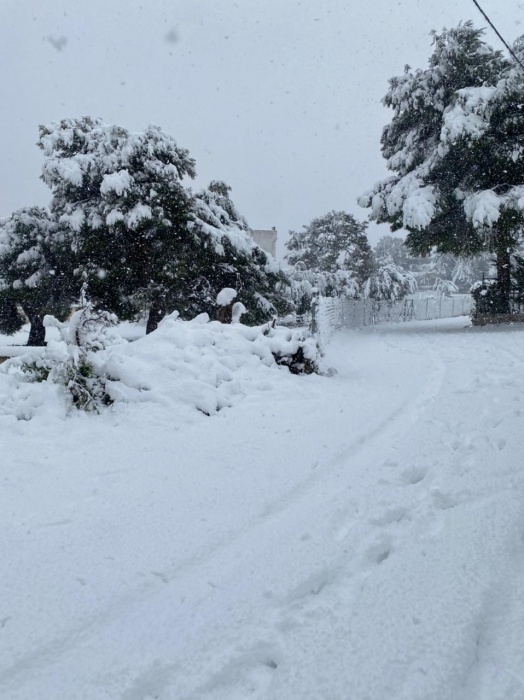 Ο Μαραθώνας στο έλεος της κακοκαιρίας - Ανυπαρκτη η Διοίκηση Τσίρκα - Κυπαρίσση - Καμιά ΕΛΠΙΔΑ για τους πολίτες