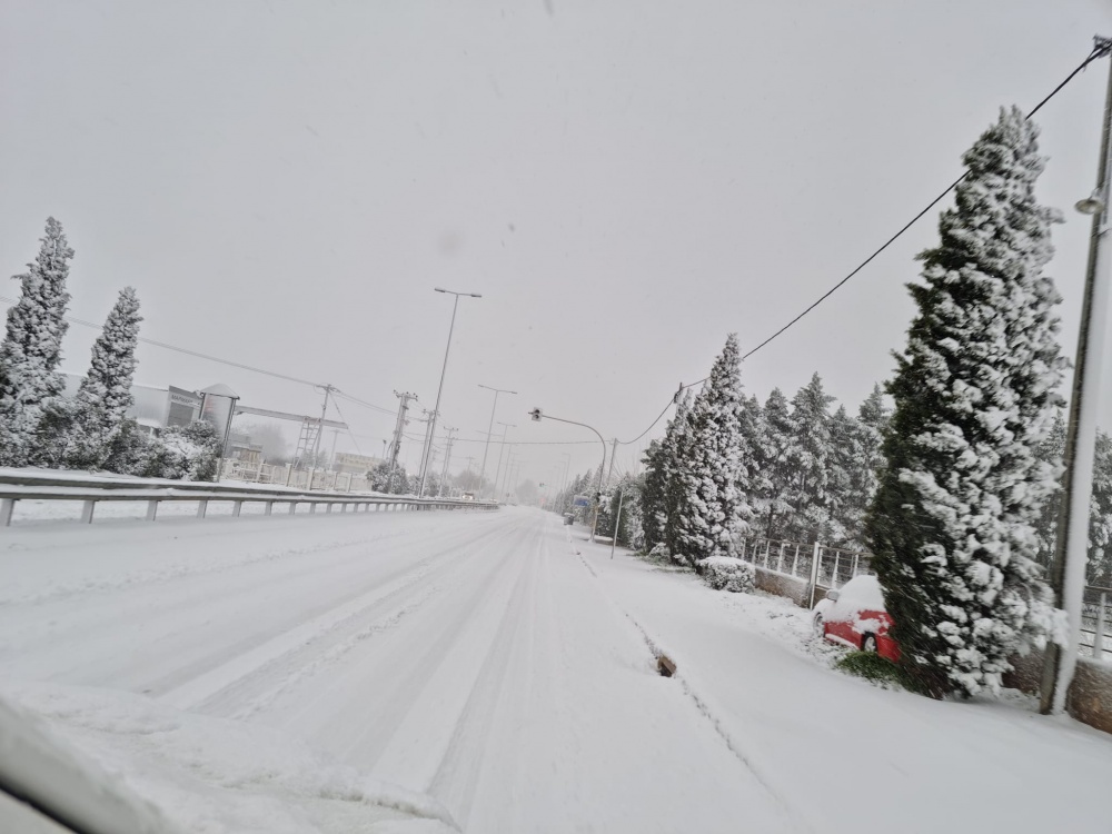 Κάτοικοι του Μαραθώνα κινούνται νομικά κατά της ΔΕΔΔΗΕ: Συνυπεύθυνος ο Δήμος Μαραθώνος και ο Δήμαρχος Στέργιος Τσίρκας