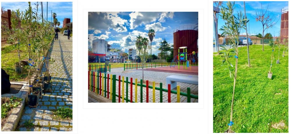 Φύτευση ελαιοδένδρων στον Δήμο Πύργου Ηλείας στα πλαίσια της πρωτοβουλίας του ΚΕΠΑ