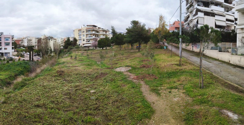 ΚΕΠΑ: Φύτευση δένδρων στον Δήμο Αλίμου