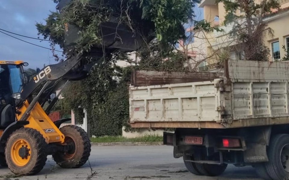 Δήμος Μαραθώνος: Παρατείνεται ως την 31η Μαρτίου η δωρεάν αποκομιδή των κλαδευτικών υπολειμμάτων
