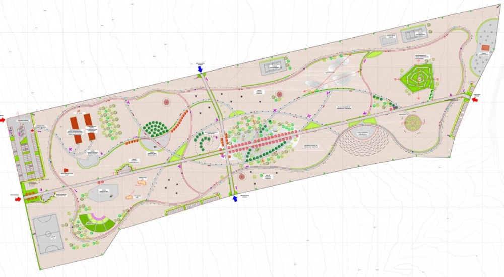 Στη δημοσιότητα από τον Δήμο Μαραθώνα η μελέτη για την αναβάθμιση του δασικού οικοσυστήματος του ΝΑΤ