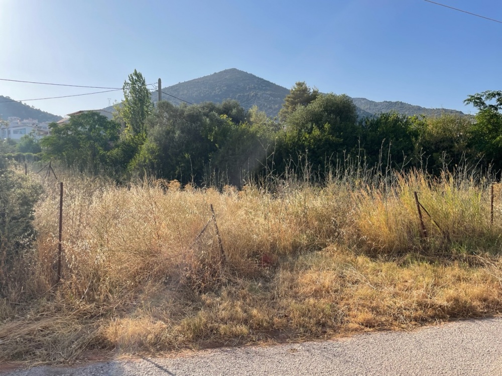 Νέα Μάκρη: Δραματική έκκληση του Κυριάκου Τσιέρη για τα ακαθάριστα οικόπεδα και την υδροδότηση της 4ης Γειτονιάς