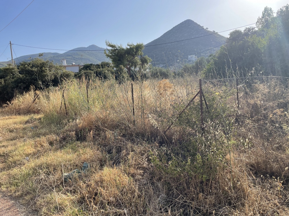 Απορία αναγνώστριας: «Ο Δήμος Μαραθώνος έχει προβεί στις απαραίτητες ενέργειες για τα ακαθάριστα οικόπεδα;»