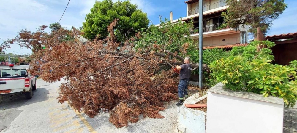Ευάγγελος Μπουρνούς: Ότι λάμπει(ρίζει) δεν είναι χρυσός