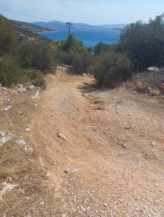 Μαραθώνας 2023: Πλήρης η απαξίωση του Δήμου μας από τη Συνδιοίκηση Τσίρκα-Κυπαρίσση