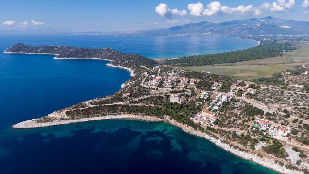 ΠΟΛΙΤΕΣ ΕΝ ΔΡΑΣΕΙ: Μέτρα πυροπροστασίας για το Πευκοδάσος του Σχινιά