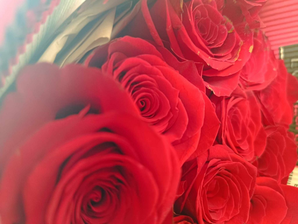 Δήμος Παιανίας: Με ένα τριαντάφυλλο καλημέρισε ο Ισίδωρος Μάδης τις κυρίες του Δήμου