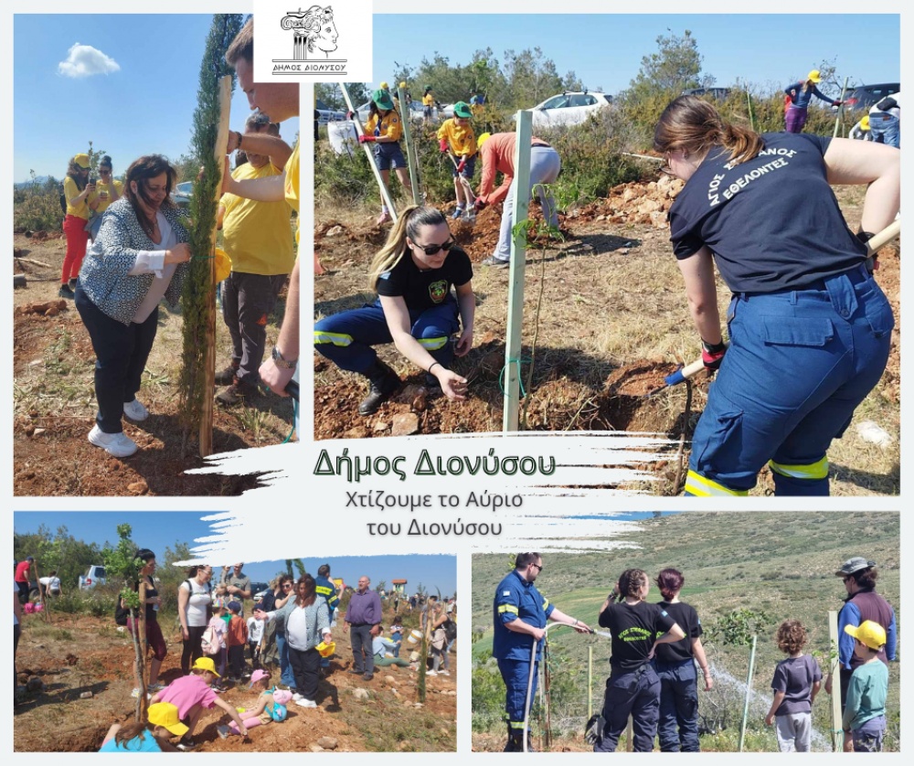 Δήμος Διονύσου: Δενδροφύτευση στην περιοχή «Αχλαδούλα» στον Άγιο Στέφανο 