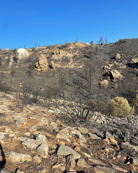 Πολίτες Εν Δράσει: Όλα καλώς καμωμένα σύμφωνα με τη δημοτικη αρχή