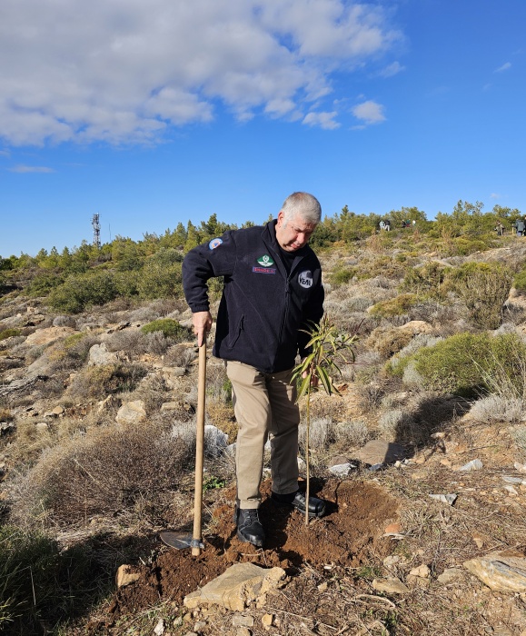 Στην αναδάσωση στον Κοκκιναρά Πεντελικού ο Βλάσσης Σιώμος