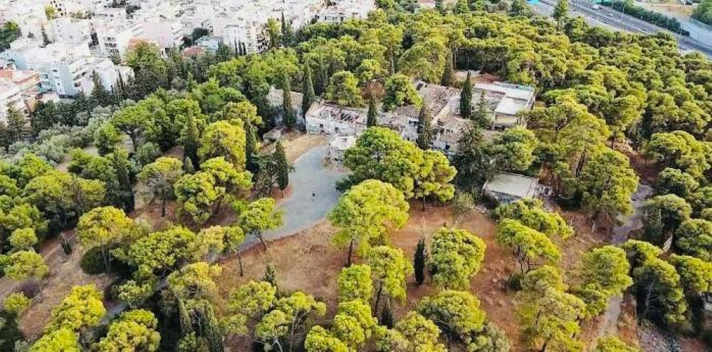 Κωστής Σμέρος: «Καθαρισμός Λόφου Λεβίδη: Γιατί τόση βιασύνη να πληρωθεί ο εργολάβος για καθαρισμό ιδιωτικού χώρου;»