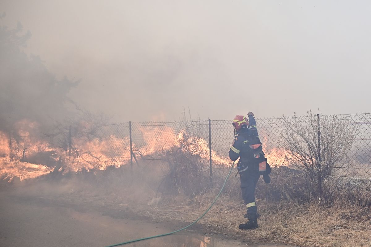 Ολοκληρώθηκαν οι αυτοψίες στους Δήμους Λαυρεωτικής και Σαρωνικού