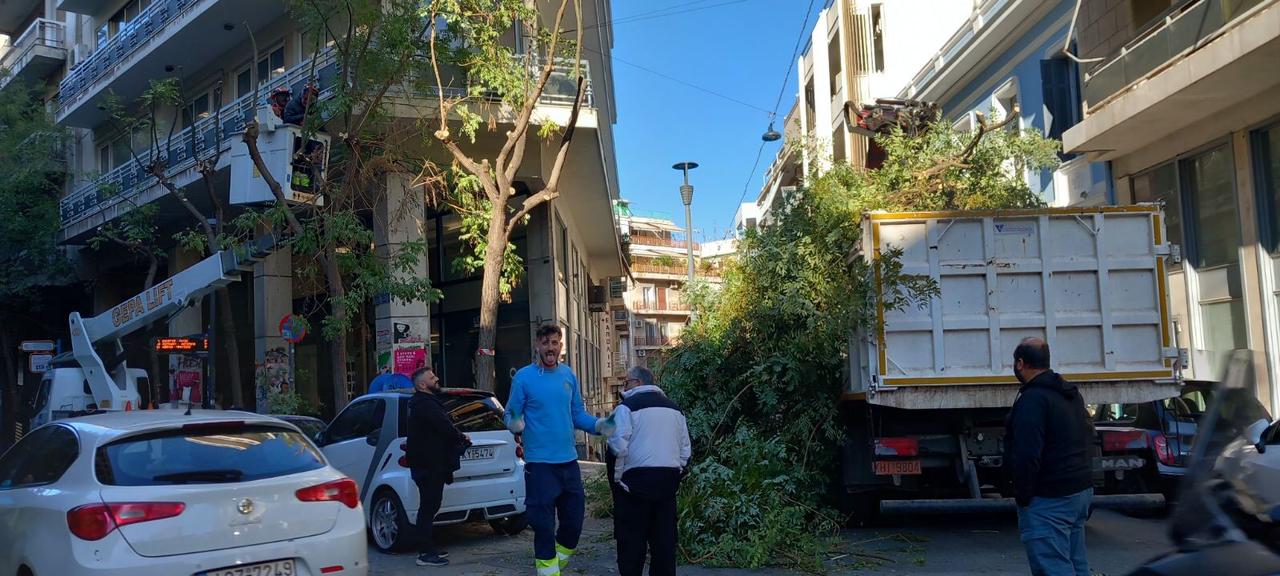 Ξεκίνησε το κλάδεμα στην Αθήνα (photo)