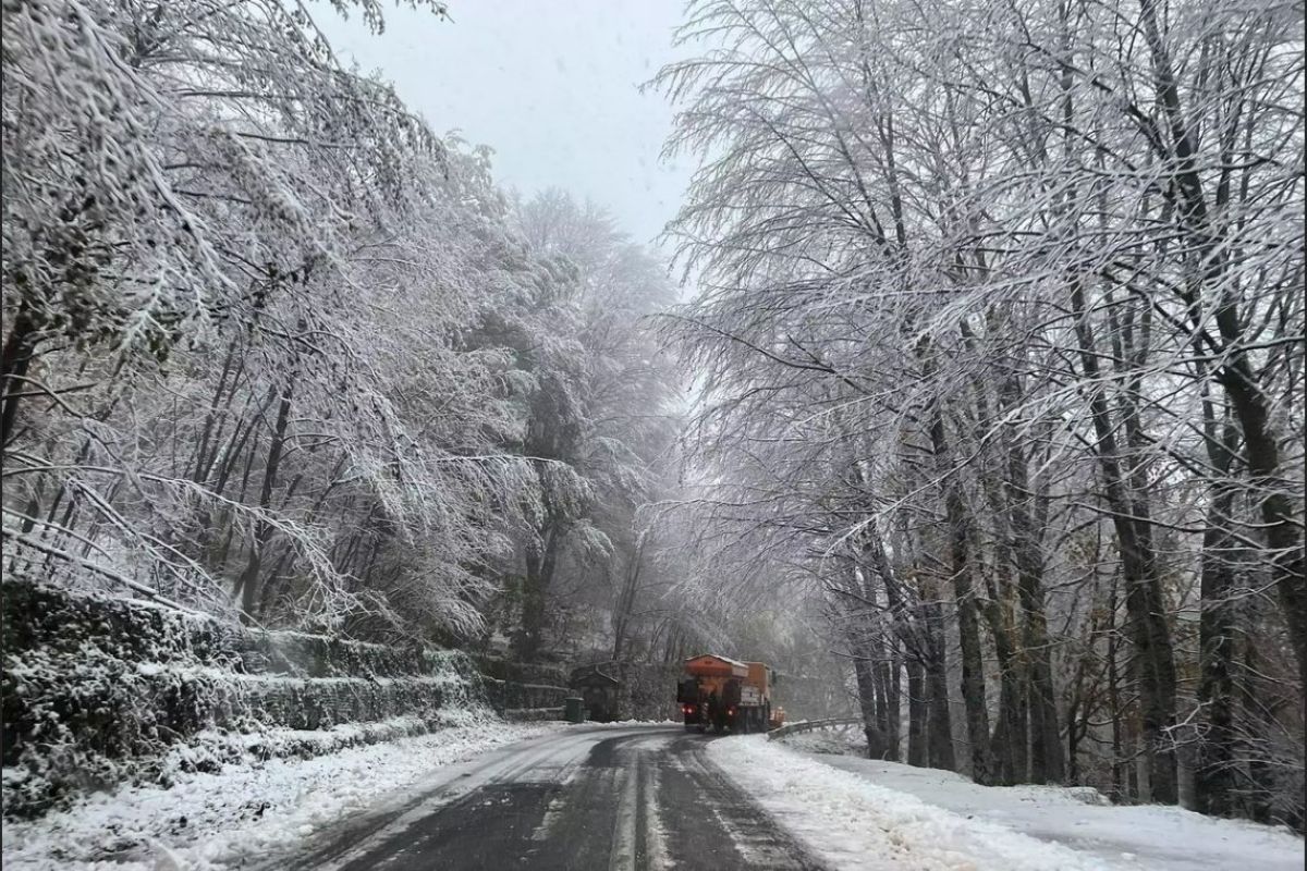 Δήμος Διονύσου: Σε αυξημένη ετοιμότητα ενόψει ενδεχόμενης επιδείνωσης του καιρού