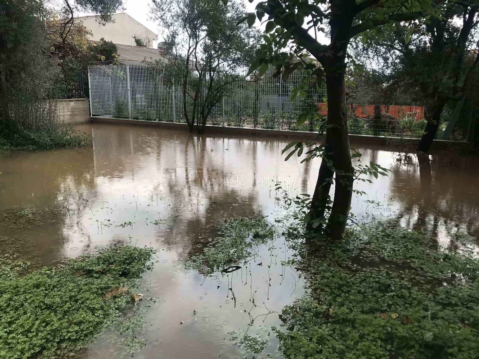 Κραυγή αγωνίας των κατοίκων της οδού Δημοκρίτου στη Νέα Μάκρη: «Με κάθε έντονη βροχόπτωση πνιγόμαστε!» (photo)