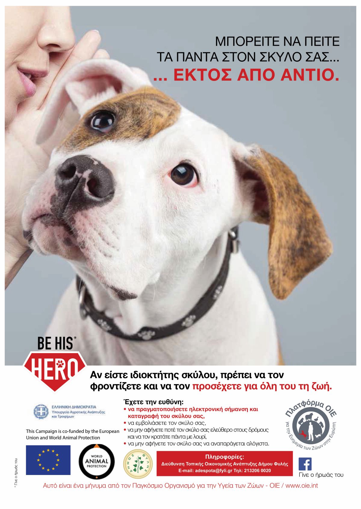 Δήμος Φυλής: Απολογισμός Δράσεων για τα Αδέσποτα Ζώα Συντροφιάς για το 2025