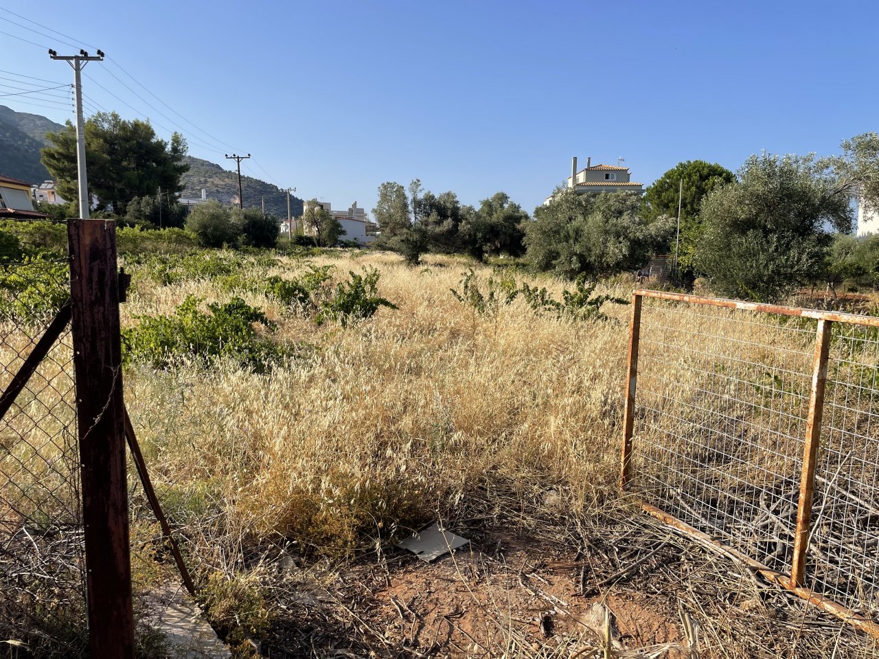 Δήμος Φυλής: Ξεκινά την 1η Μαϊου ο καθαρισμός οικοπέδων και ακάλυπτων χώρων και είναι υποχρεωτικός για τους ιδιοκτήτες