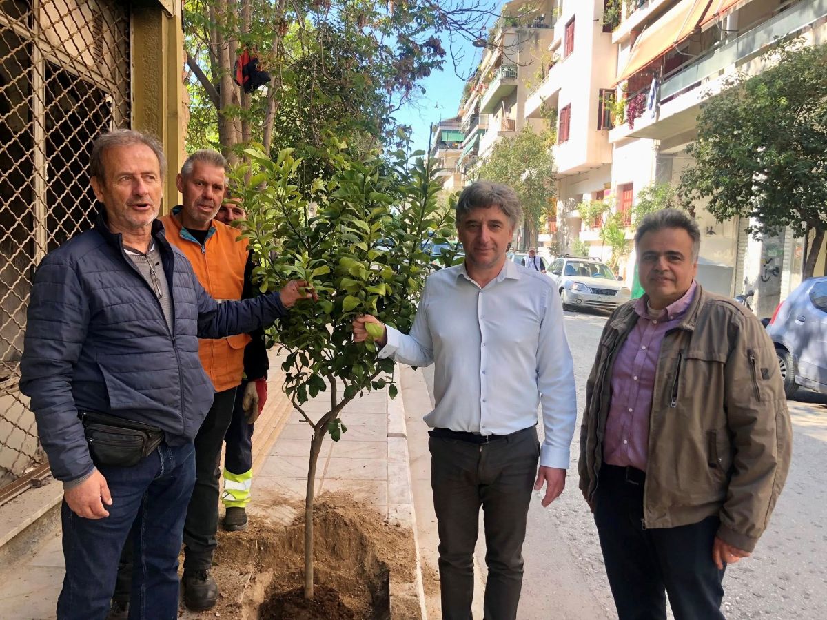 Νέες φυτεύσεις στον Δήμο Αθηναίων (photo)