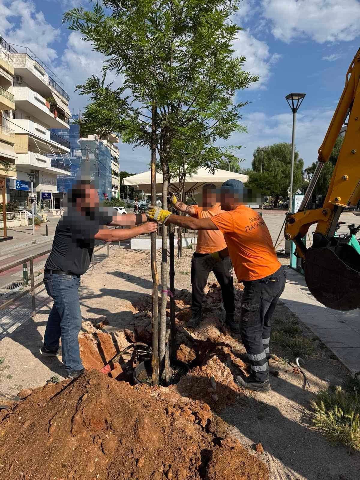 Δενδροφύτευση με τη γλάστρα; Δεντροφύτευση σε άμμο οικοδομής; Το είδαμε κι αυτό στον Δήμο Παλλήνης… (photo)