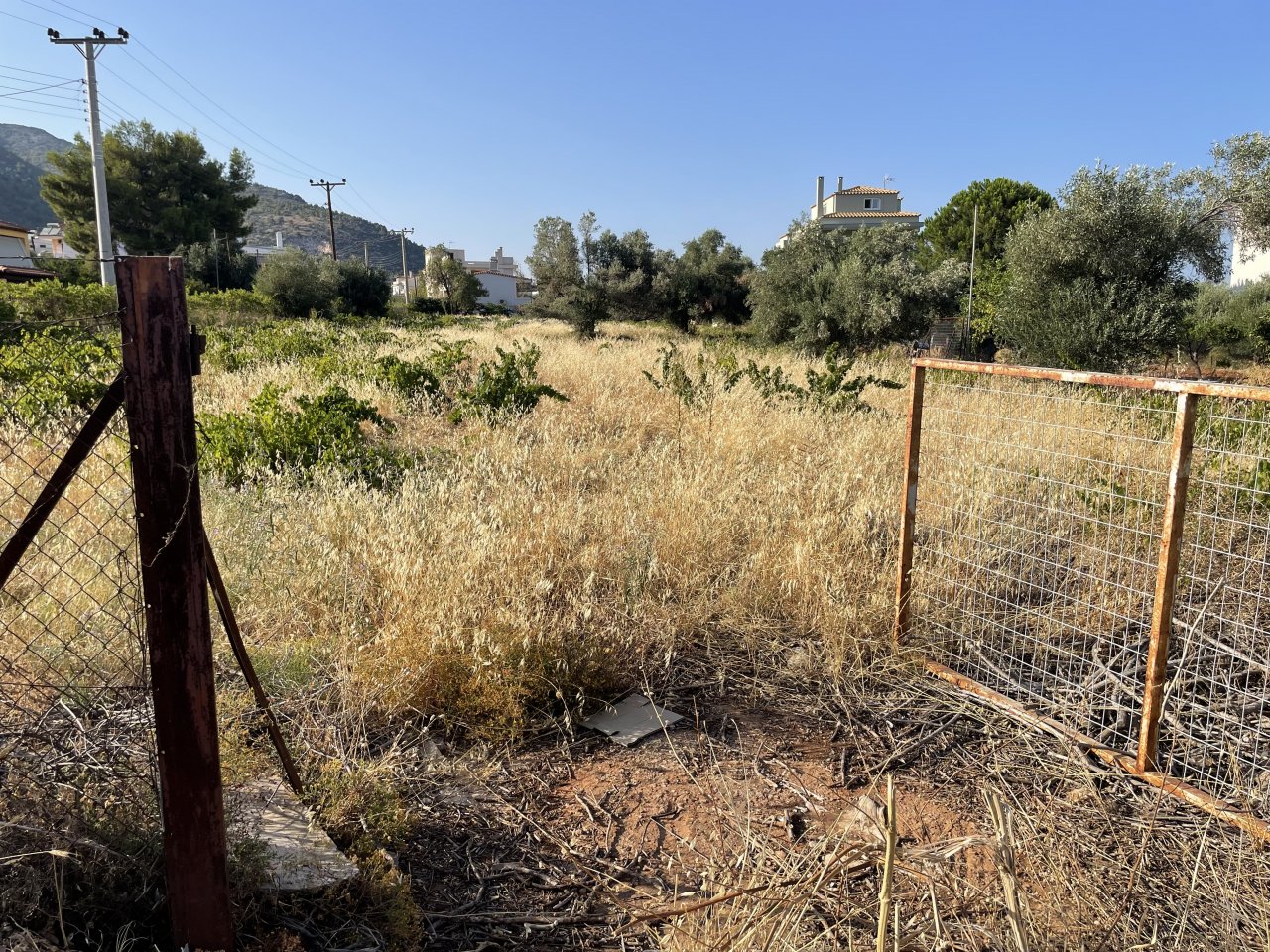 Δήμος Φυλής: Υποχρεωτικός Καθαρισμός Οικοπέδων και Υποβολή Δήλωσης μέχρι 15 Ιουνίου 2026