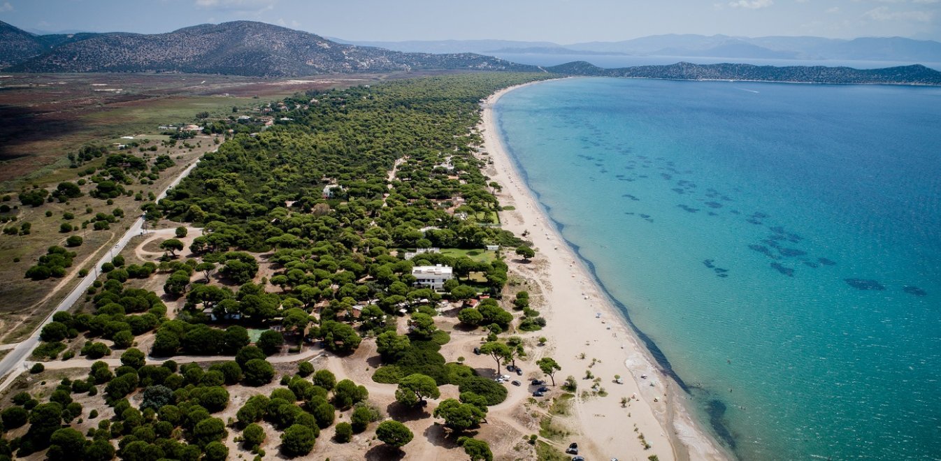 Χρήστος Δραγώτης: Βιώσιμη ανάπτυξη της Ανατολικής Αττικής