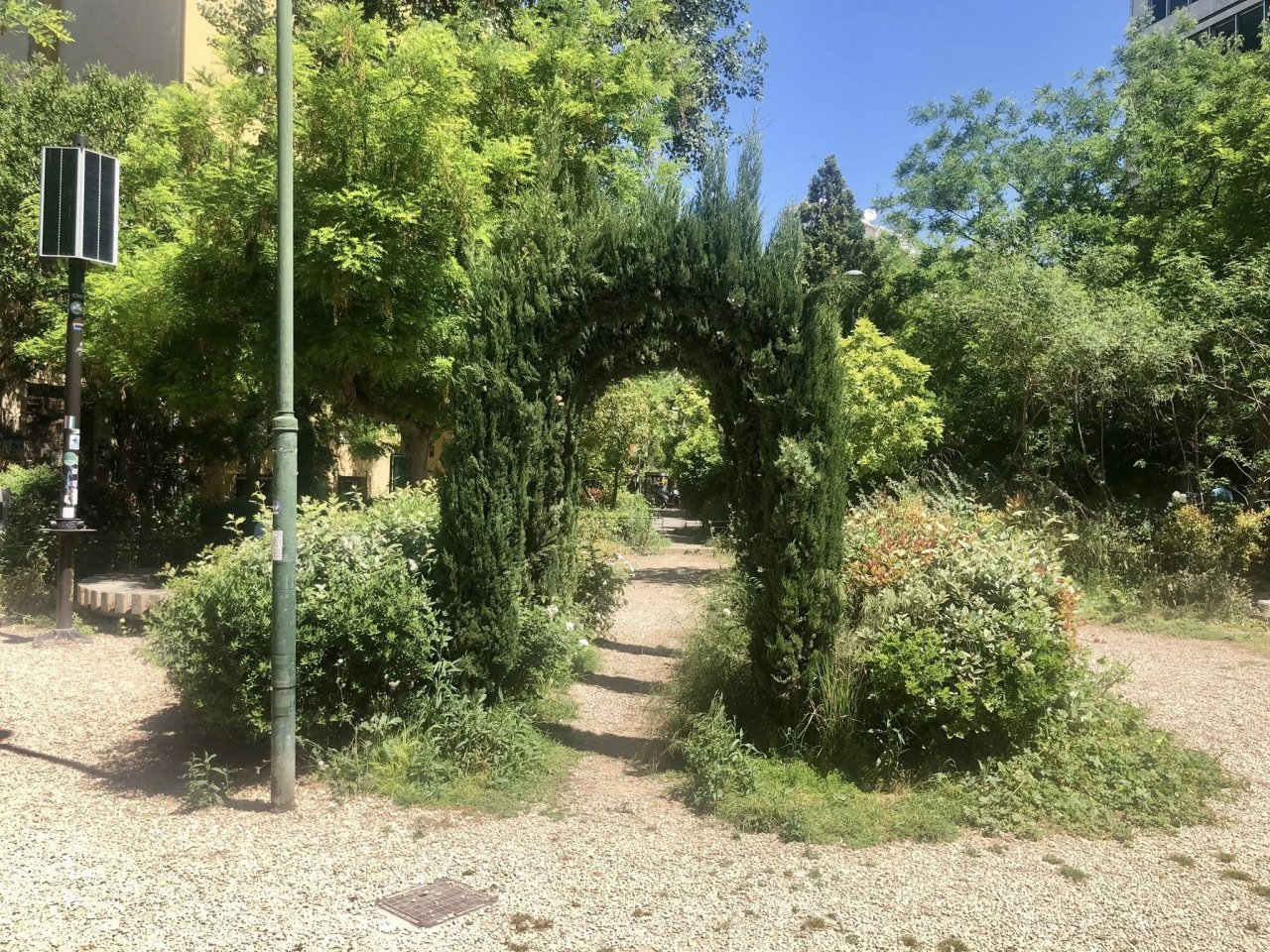 Ολοκλήρωση των εργασιών αποχλόασης και αντιπυρικής θωράκισης στους λόφους και τα άλση της Αθήνας