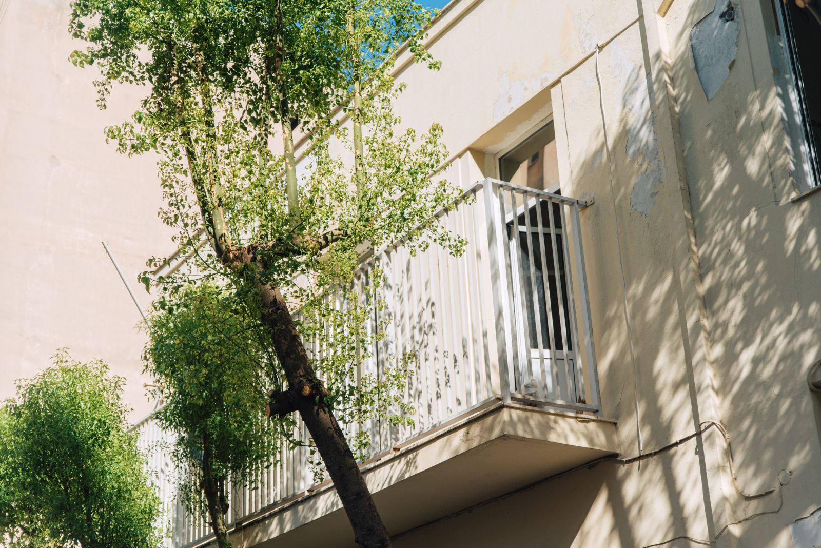Δήμο Αθηναίων: Σε πλήρη εξέλιξη οι εργασίες για τη δημιουργία του πρώτου ΚΔΗΦ ΑμεΑ - Τον Σεπτέμβρη ανοίγει τις πόρτες του Δήμο Αθηναίων: Σε πλήρη εξέλιξη οι εργασίες για τη δημιουργία του πρώτου ΚΔΗΦ ΑμεΑ - Τον Σεπτέμβρη ανοίγει τις πόρτες του