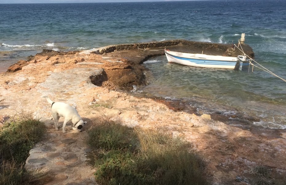 MATI_KORZENIOFSKI_BOAT