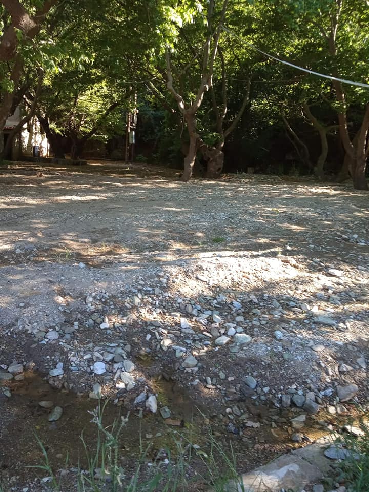 VARNAVAS_2